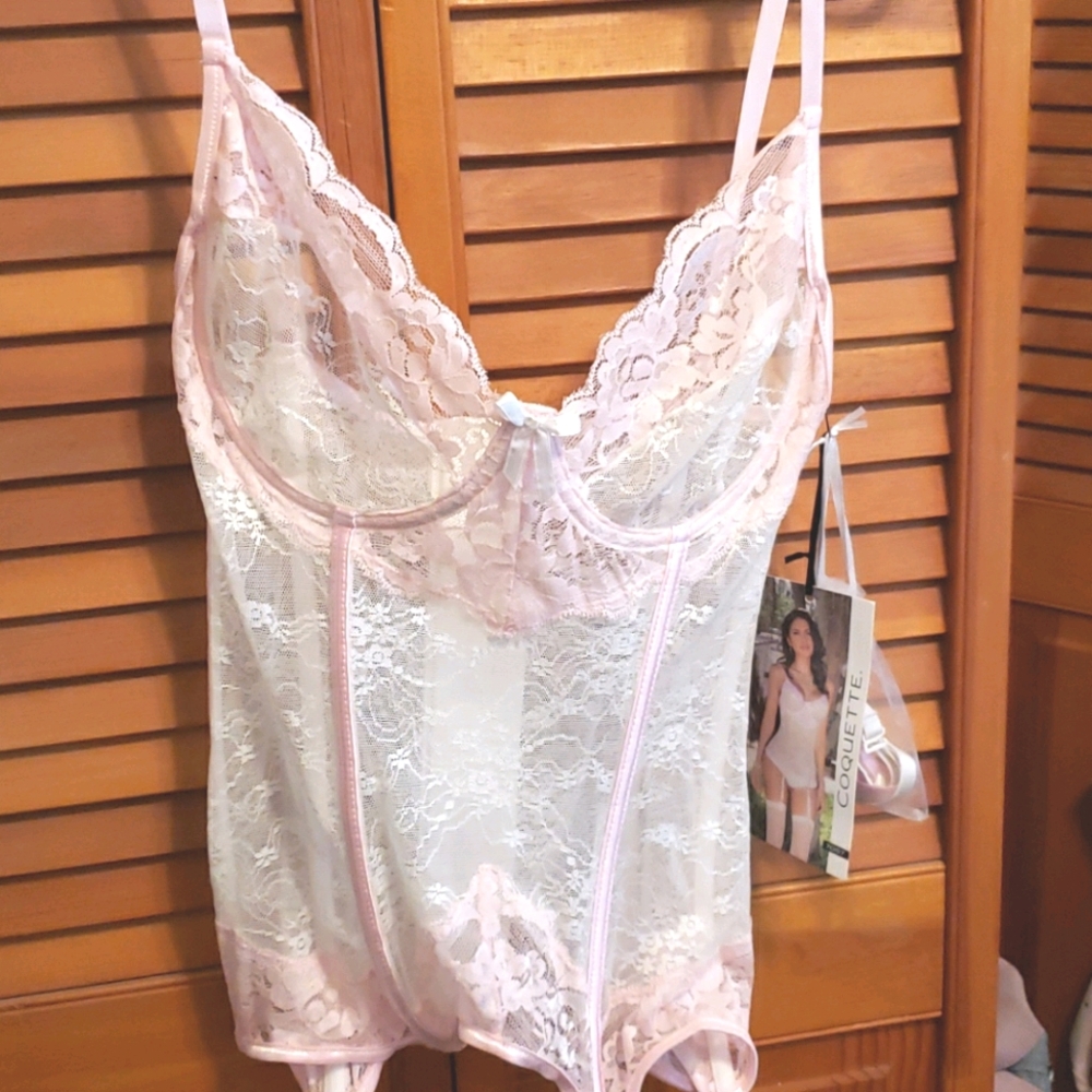NWT Coquette pink white lace sheer bustier L